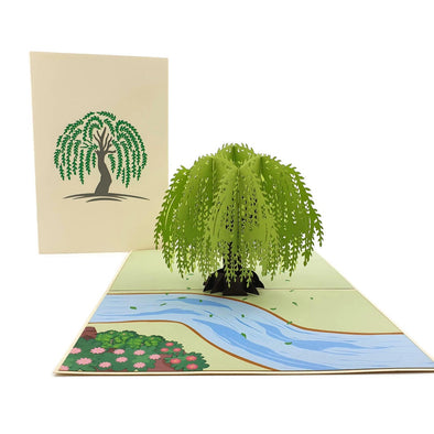 Colorpop Cards - Willow Tree