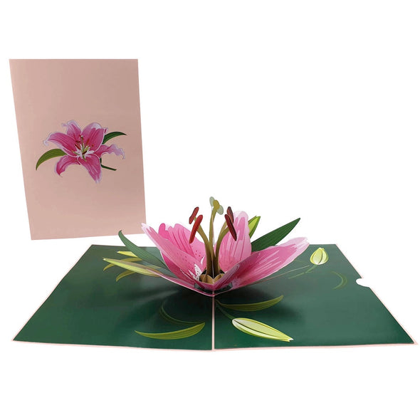 Colorpop Cards - Pink Lily Flower